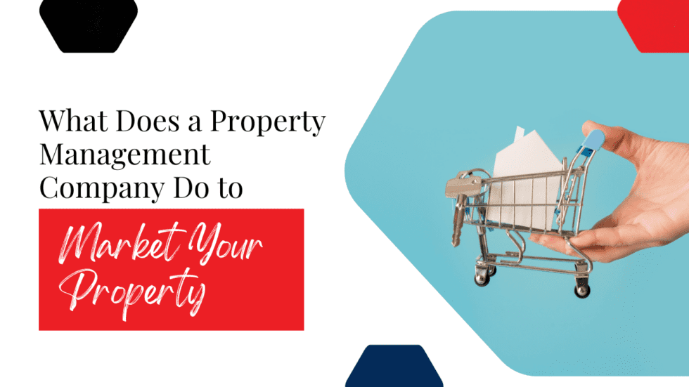 what-property-management-company-does-to-market-property